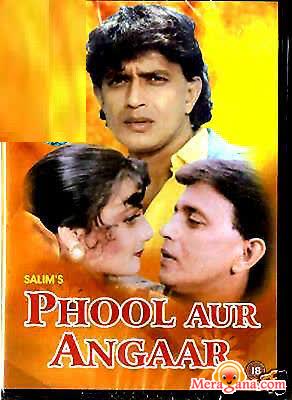 Poster of Phool+Aur+Angaar+(1993)+-+(Hindi+Film)