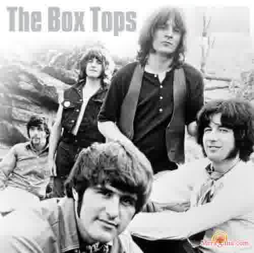 Poster of The Box Tops