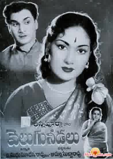 Poster of Velugu Needalu (1964)